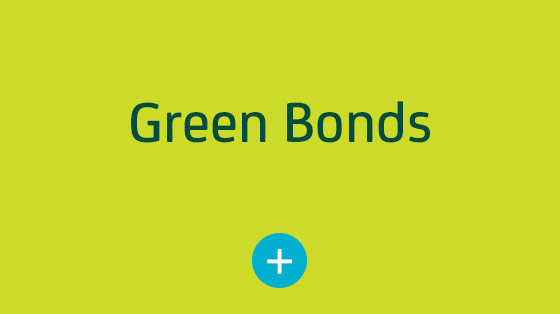 In Green Bonds investieren