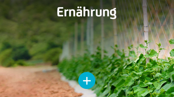 Ernährung