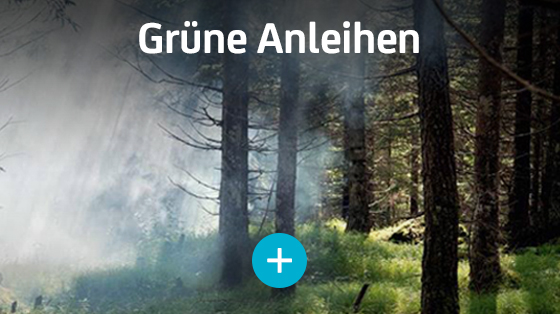 Grüne Anleihen