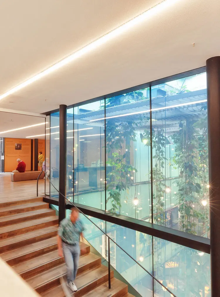 Moderne Holztreppe mit einer Person und großen Fenstern, die ein Atrium mit hängenden Pflanzen zeigen.
