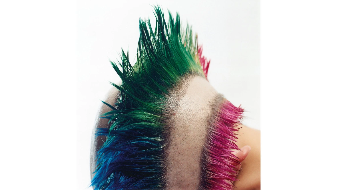 Eine Nahaufnahme eines Hinterkopfes eines Punks im Irokesenschnitt mit grünen, blauen und roten Haarbahnen, dazwischen sind die Haare kahlrasiert und Kopfhaut zu sehen. 