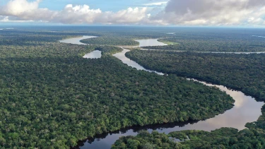 Luftaufnahme eines gewundenen Flusses, der sich durch dichten grünen Wald zieht. Mehrere Flussschleifen unter bewölktem Himmel keine Gebäude sichtbar.