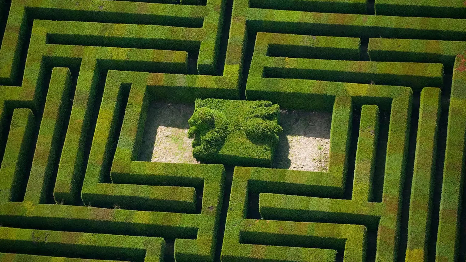 Luftaufnahme eines geometrischen Heckenlabyrinths mit zentralem Platz.