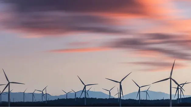 Zahlreiche Windräder auf weiter Ebene vor Hügelkulisse, darüber farbiger Himmel mit rosa-violetten Wolken bei tiefem Sonnenstand.
